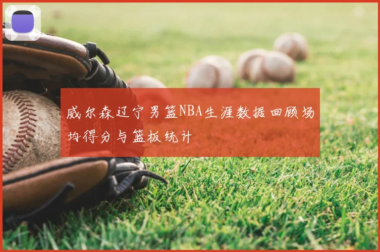 威尔森辽宁男篮NBA生涯数据回顾场均得分与篮板统计