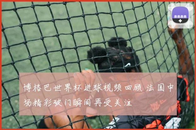 博格巴世界杯进球视频回顾 法国中场精彩破门瞬间再受关注