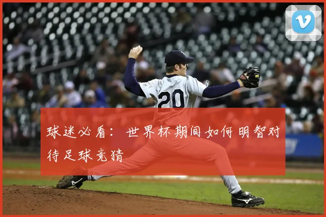 球迷必看:世界杯期间如何明智对待足球竞猜
