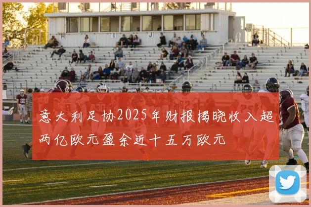 意大利足协2025年财报揭晓收入超两亿欧元盈余近十五万欧元