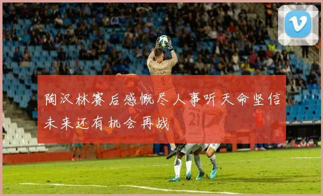 陶汉林赛后感慨尽人事听天命坚信未来还有机会再战