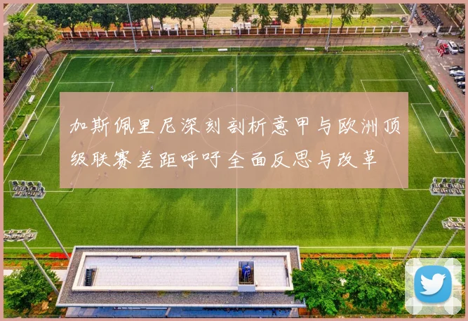 加斯佩里尼深刻剖析意甲与欧洲顶级联赛差距呼吁全面反思与改革