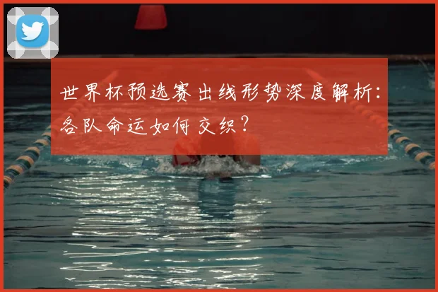 世界杯预选赛出线形势深度解析:各队命运如何交织?