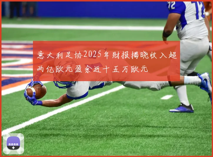 意大利足协2025年财报揭晓收入超两亿欧元盈余近十五万欧元
