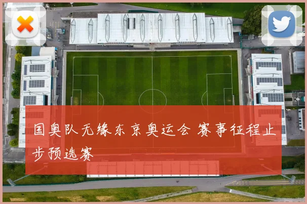 国奥队无缘东京奥运会 赛事征程止步预选赛