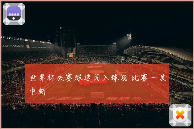 世界杯决赛球迷闯入球场 比赛一度中断