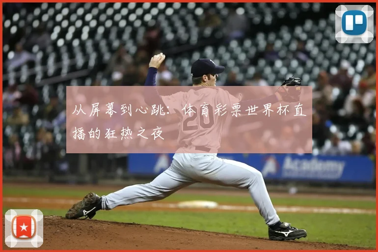 从屏幕到心跳：体育彩票世界杯直播的狂热之夜