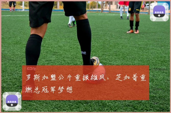 罗斯加盟公牛重振雄风，芝加哥重燃总冠军梦想