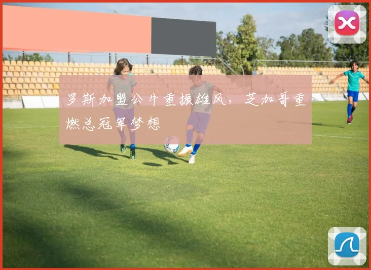 罗斯加盟公牛重振雄风，芝加哥重燃总冠军梦想