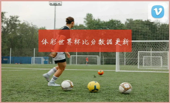 体彩世界杯比分数据更新