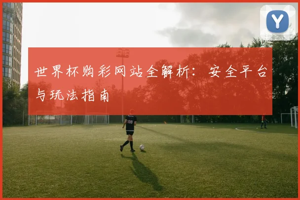 世界杯购彩网站全解析：安全平台与玩法指南