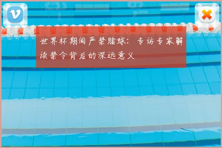 世界杯期间严禁赌球:专访专家解读禁令背后的深远意义