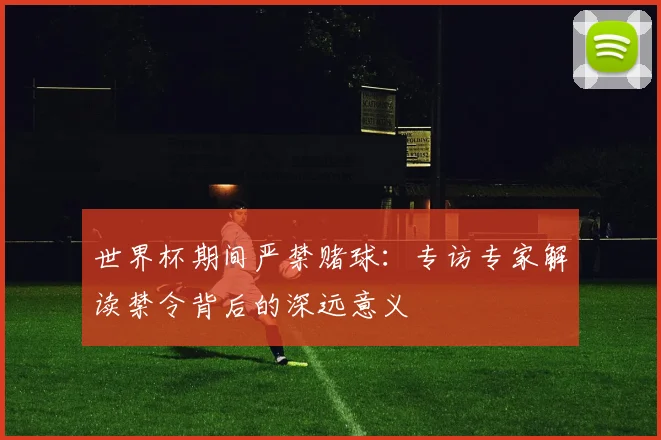 世界杯期间严禁赌球:专访专家解读禁令背后的深远意义