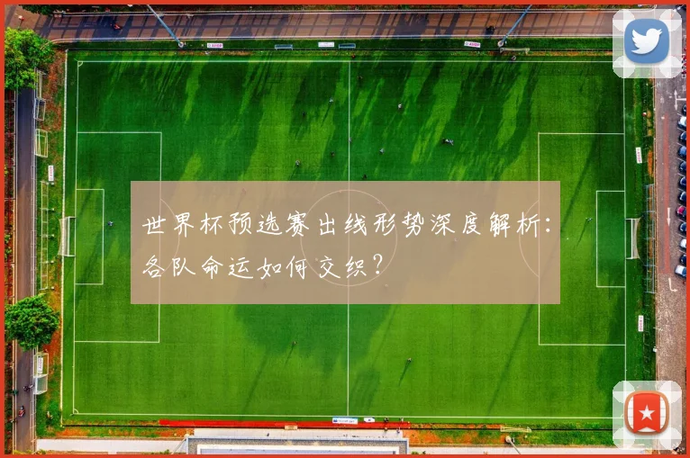 世界杯预选赛出线形势深度解析：各队命运如何交织？