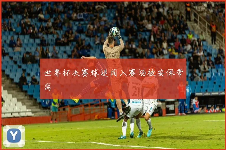 世界杯决赛球迷闯入赛场被安保带离